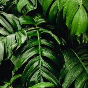 Uncategorized